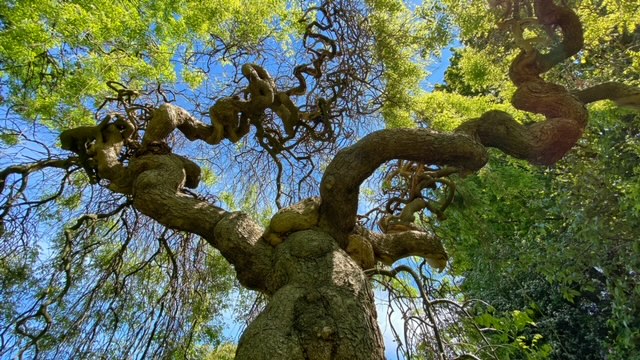 Zen.nl, Zen, meditatie, leren mediteren, foto
